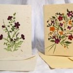 Pressed flower greetings card tutorial